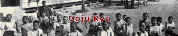 Goju Ryu Karate Perth West Australia